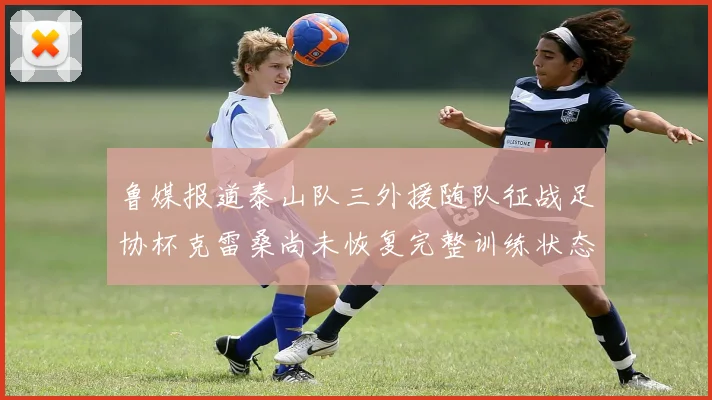 鲁媒报道泰山队三外援随队征战足协杯克雷桑尚未恢复完整训练状态